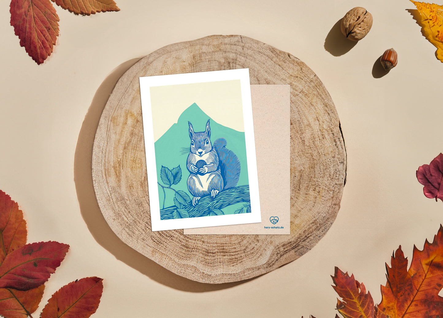 5 POSTKARTEN im Set | 350g Graskarton