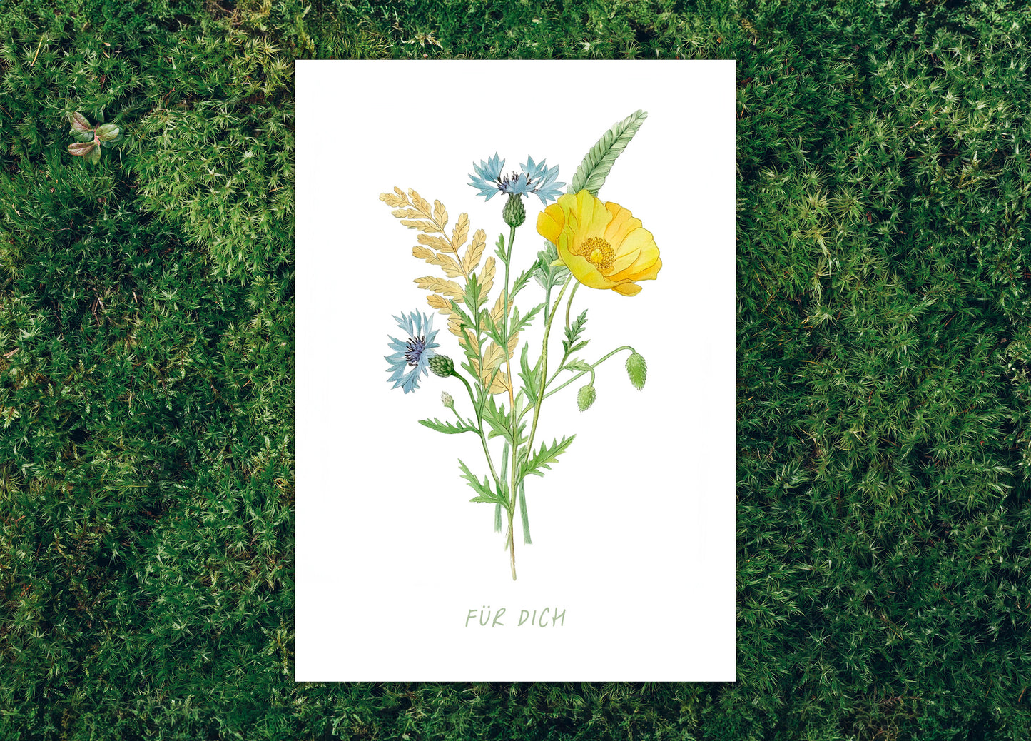 POSTKARTE Wildblumen für dich | 350g Graskarton