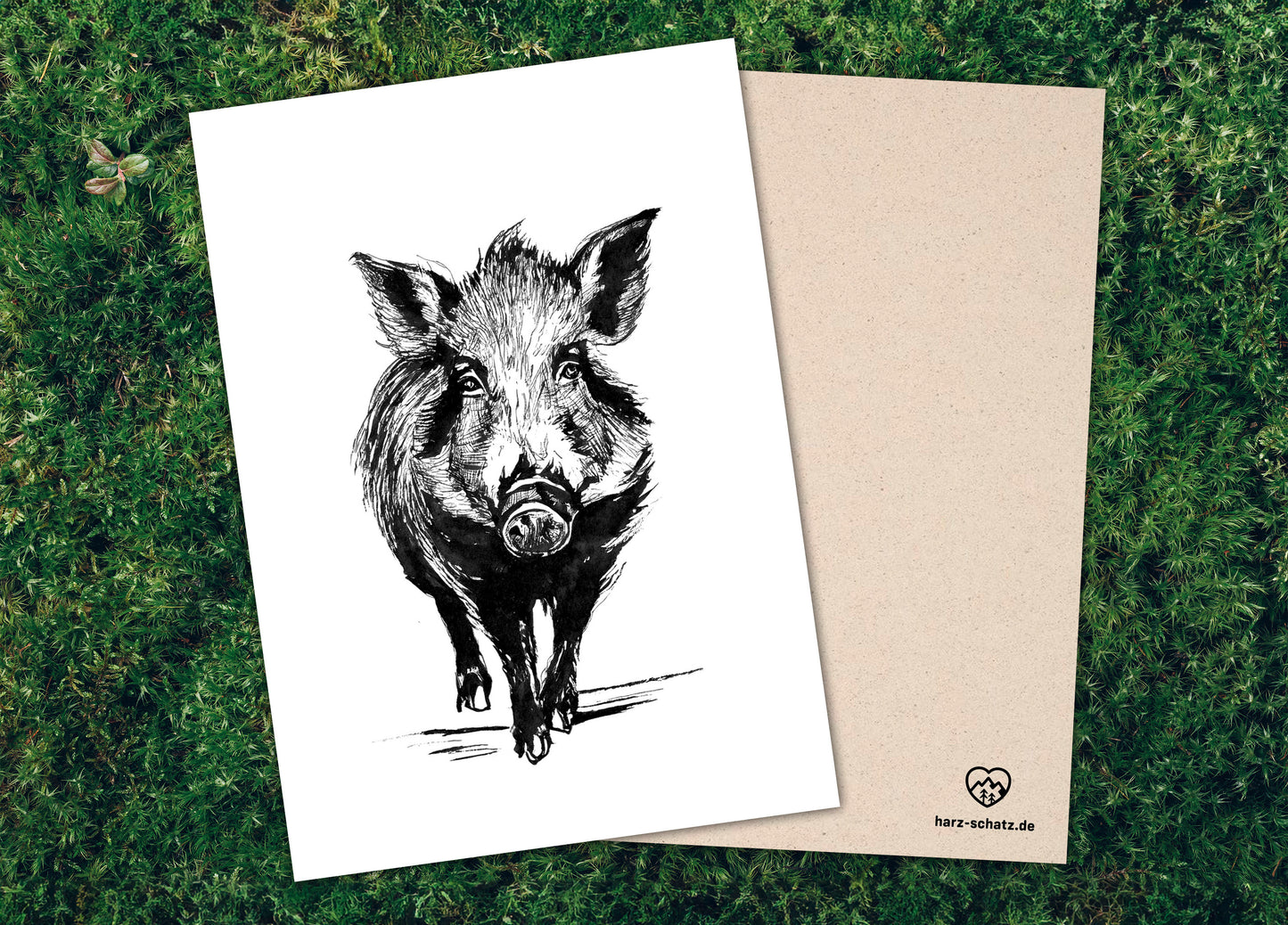 POSTKARTE Wildschwein | 350g Graskarton