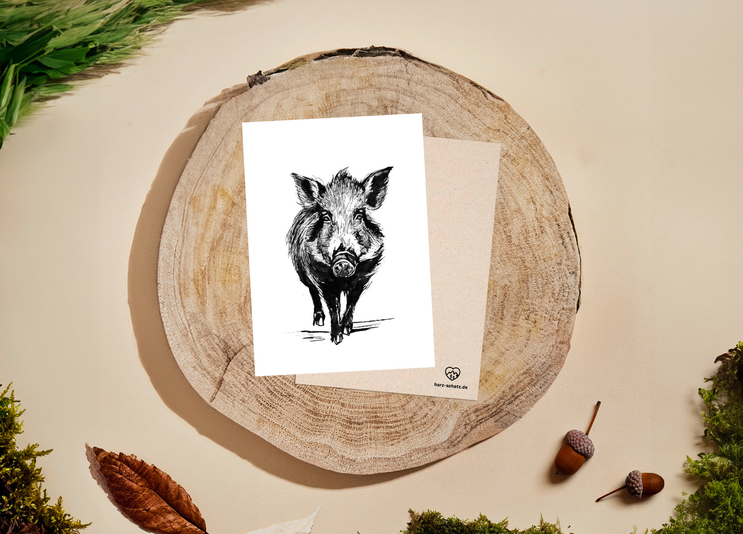 5 POSTKARTEN im Set | 350g Graskarton