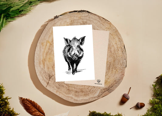 POSTKARTE Wildschwein | 350g Graskarton